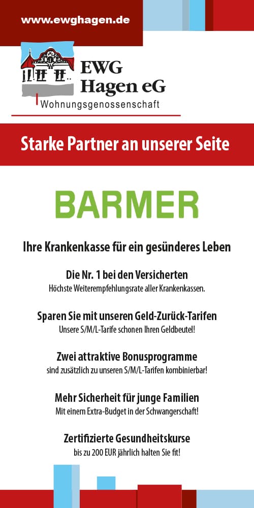 Partner Flyer Barmer